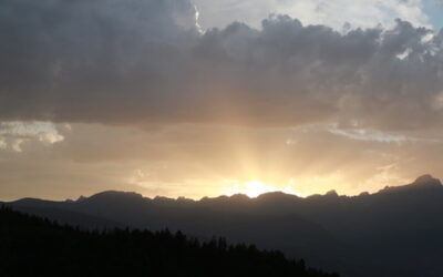 GRASSET ÉCRIT À BOLLORÉ