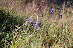 DROIT SPÉCIAL, VIE PRIVÉE